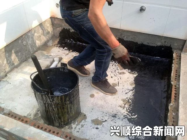白宫驳斥朝鲜政变传闻，探讨朝政权透明度的重要性——深度分析视角