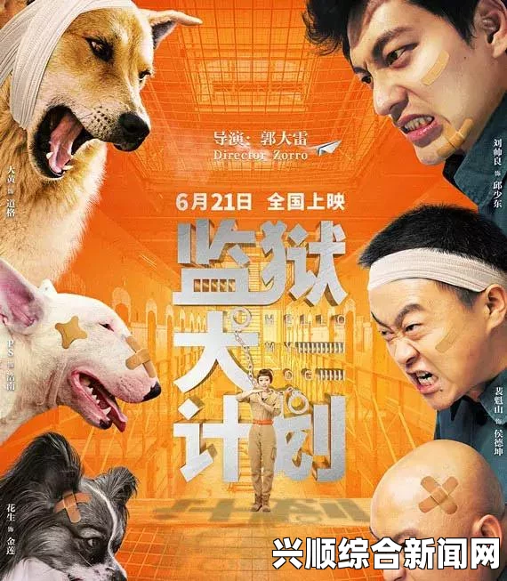 我家狗狗卡在里面痛怎么办？紧急时刻，爱与勇气交织，带你一起探索爱的救赎之路！
