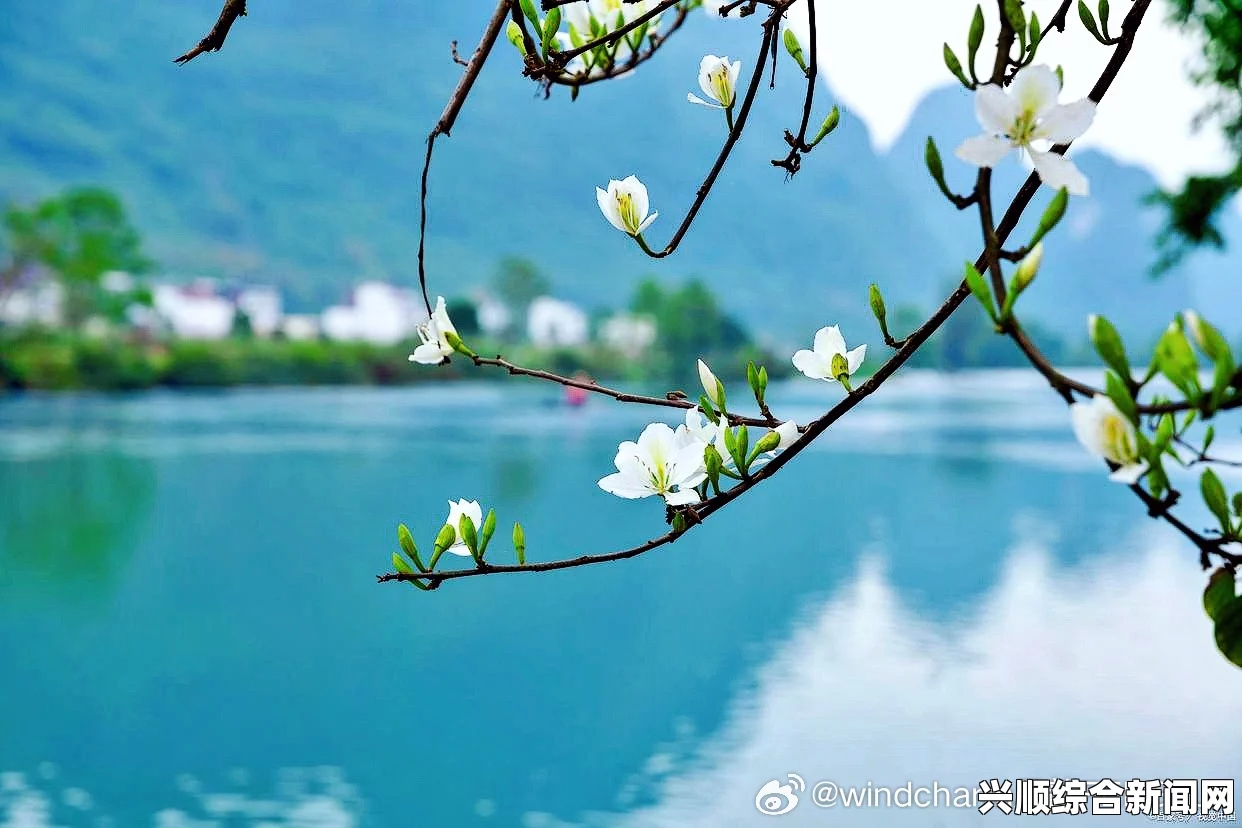 一池春水po江词全文：穿越诗意的春日，感受那份清澈与激情交织的心灵之旅