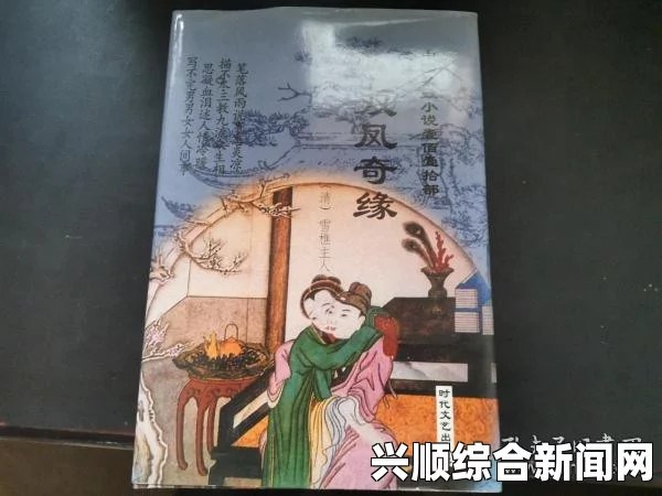清穿日常小说：在历史与幻想交织的世界中，细腻描绘清朝生活的激情与情感