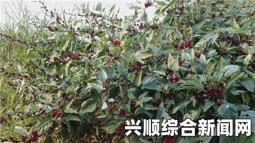 探索红桃K集团的18位创始人：激情与智慧交织，成就辉煌事业的背后故事