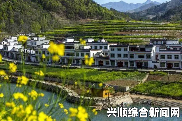 后湾村的那些事：探寻乡村风情，感受人情温暖与自然之美的奇妙旅程