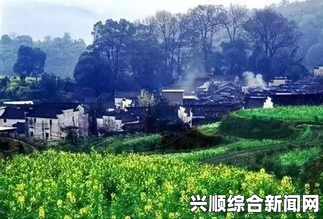 后湾村的那些事：探寻乡村风情，感受人情温暖与自然之美的奇妙旅程