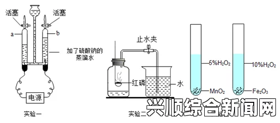 624气相色谱柱填料：探索科学的奥秘，感受每一次实验的激情与完美