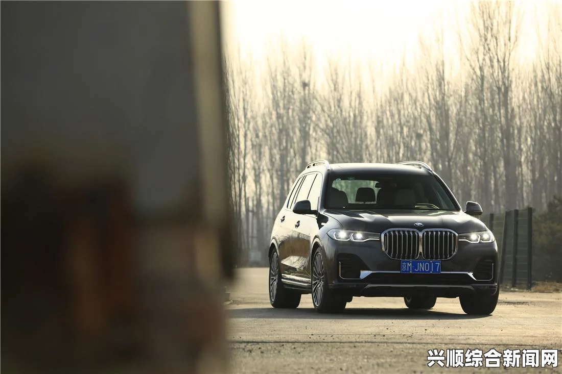 深度探讨：国产与进口X7X7X7槽的优劣评比，激情碰撞背后的技术魅力与市场潜力