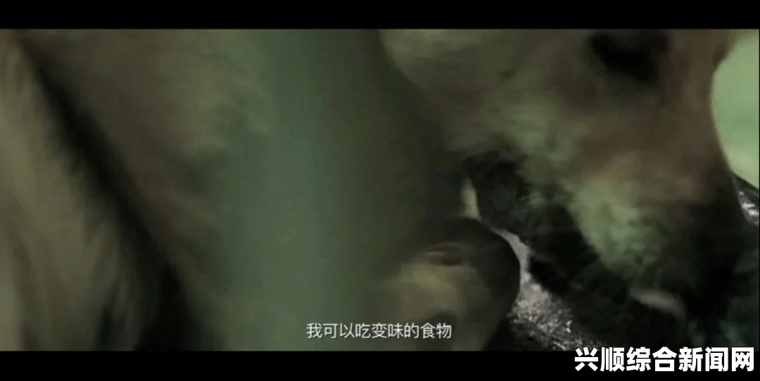 艰难的借种：探索生育的挑战与希望，点燃内心深处对生命延续的激情和渴望。