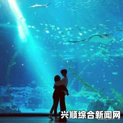 三叶草的视频：探索其神秘之美，感受生命的激情与活力