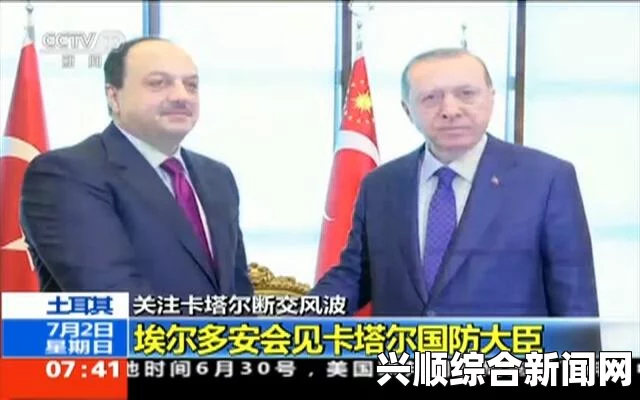 卡塔尔国防大臣的声明与外交危机
