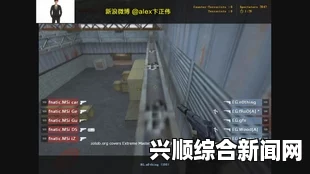 张海迪简历资料照片，国际残奥委会主席参选提名候选人