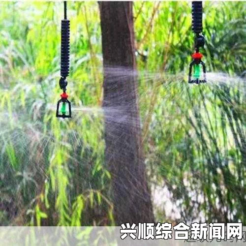 张海迪简历资料照片，国际残奥委会主席参选提名候选人