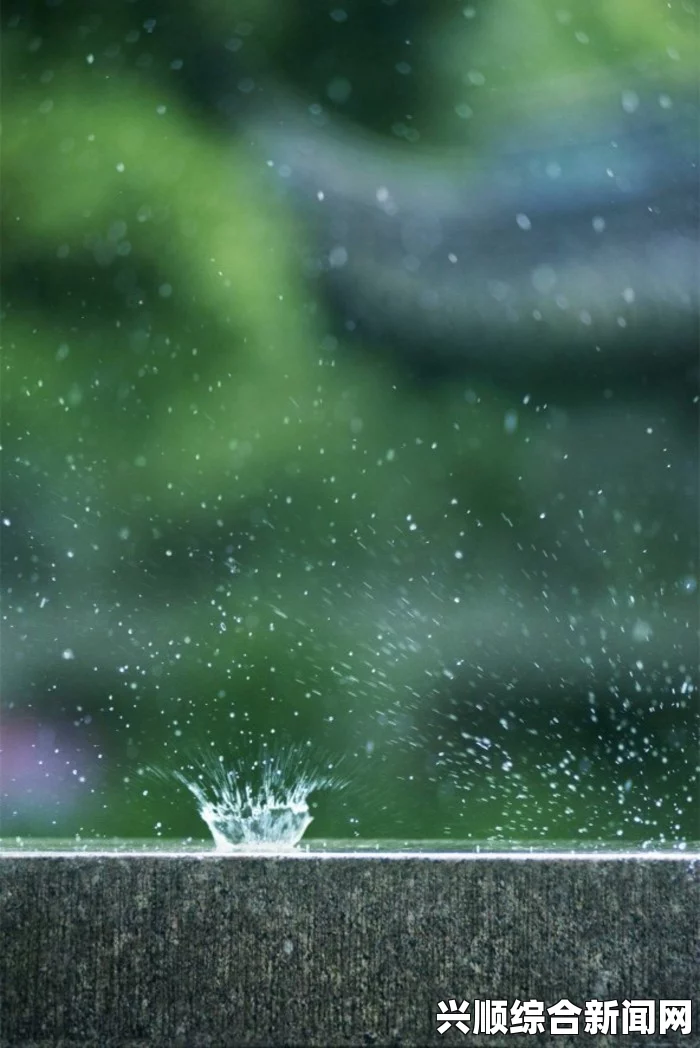 寡妇门前 落雨秋寒：探寻孤独背后的情感与记忆，如雨滴般淅沥，唤起心底的深沉共鸣。