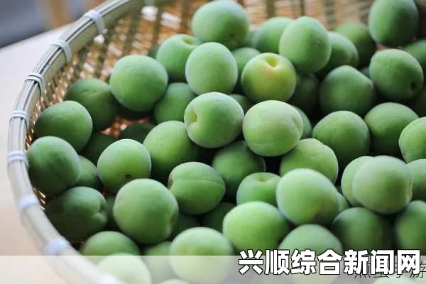 青梅不经C1VH：在探索激情的旅程中，品味青春的纠葛与无尽可能
