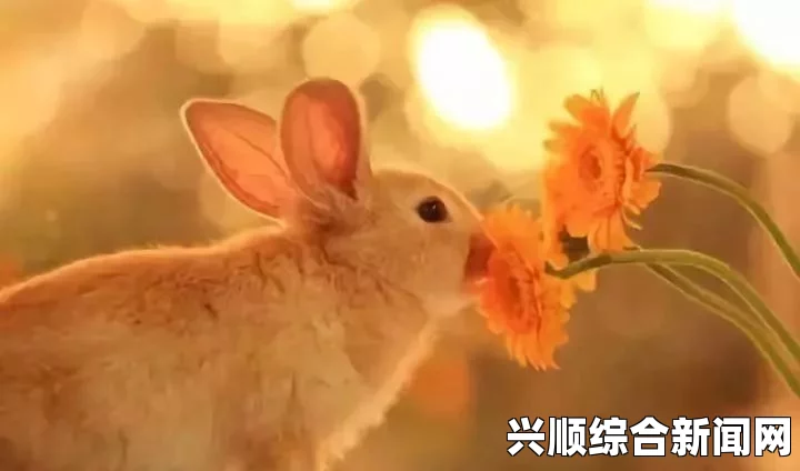 老师，您的兔子好软，水好多，我们在嬉戏中感受自然的魅力与探索的无限乐趣！