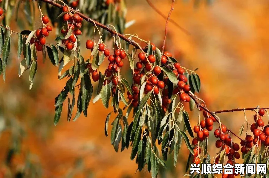 把你喂饱：在美食的盛宴中探索味蕾的激情与无尽可能，感受每一口带来的幸福与满足。