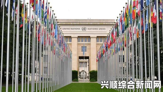 联合国人权理事会，历史性决议的里程碑