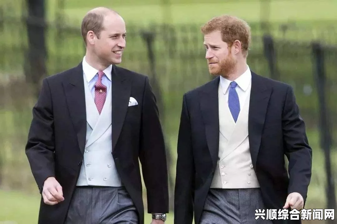 英国哈里王子，英国王室中的独特声音与真实追求