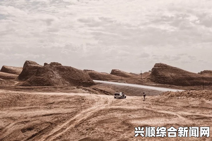 无人区乱码：在未知的荒原中探索信号迷雾，追寻深藏文明的激情与奥秘