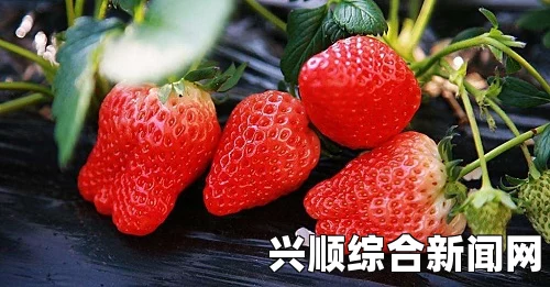 黄岩岛海域遇美军舰艇，中国兰州舰队冷静应对—双方未发生冲突