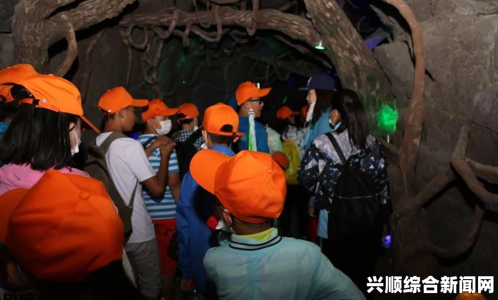 探索黑色细蘑菇的神秘世界：在光影交错中发现其独特魅力与生态奇观