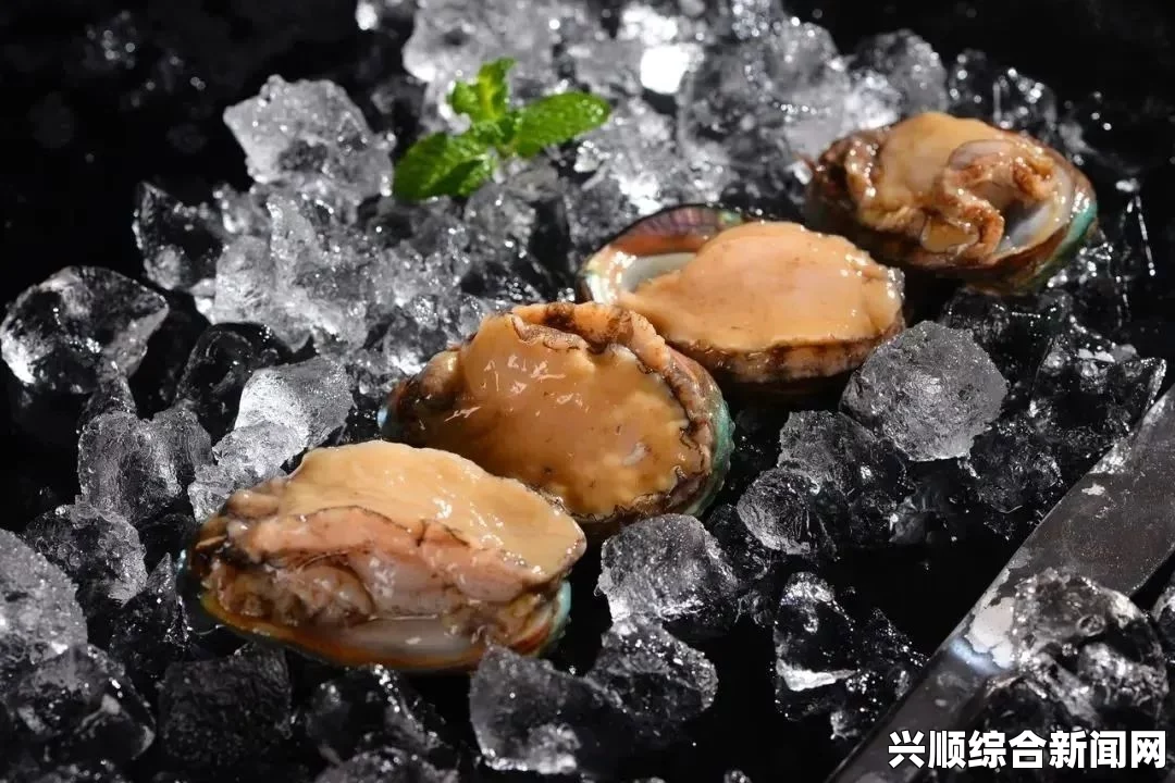 燃情激情！打开腿享受美味扇贝，挑战味蕾的极致体验！