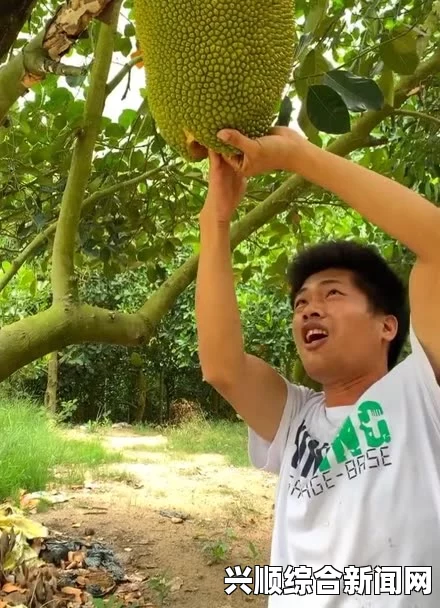 菠萝菠萝蜜视频在线观看播放高清：探索激情画面，带你体验前所未有的视听盛宴！