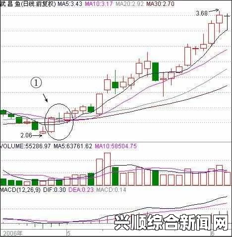 5日线45度两阳夹一阴选股：探索股市动态，激情投资之旅的魅力与挑战