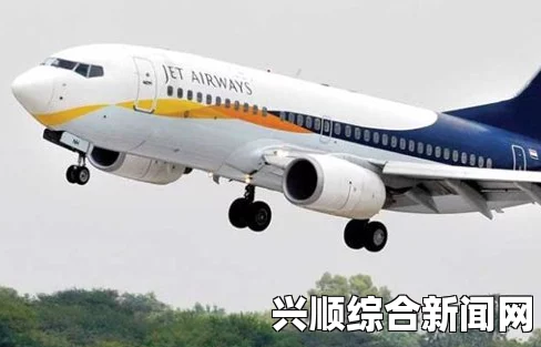 印度一婴儿在万米高空飞机上降生 获终身免费乘机资格