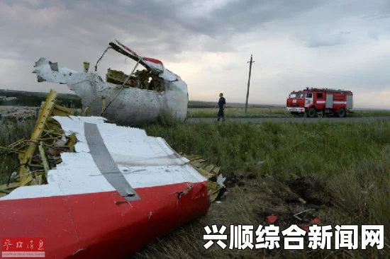 印度一婴儿在万米高空飞机上降生 获终身免费乘机资格