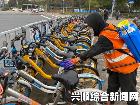 缓解悉尼交通不便，澳大利亚创业者引进中国共享单车模式
