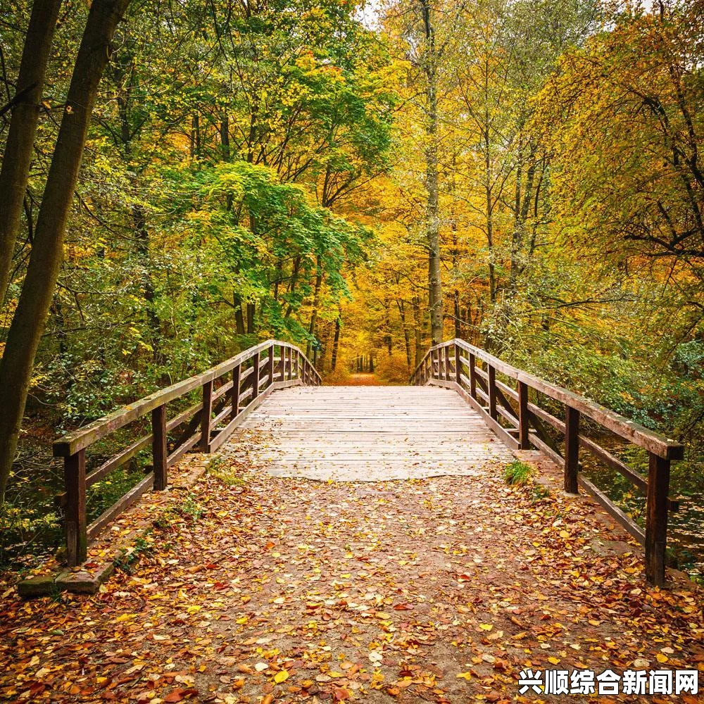 啊 你tm别了贺：探索激情四溢的瞬间，感受情感交汇的灼热画面与心灵碰撞的火花。