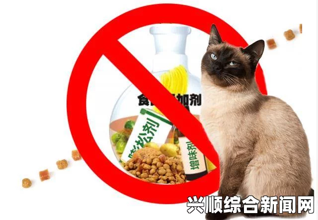 DNA分析揭示猫咪征服世界之路，埃及是关键节点