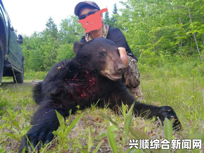 美国阿拉斯加少年参加山地赛跑遭熊攻击 不幸丧生
