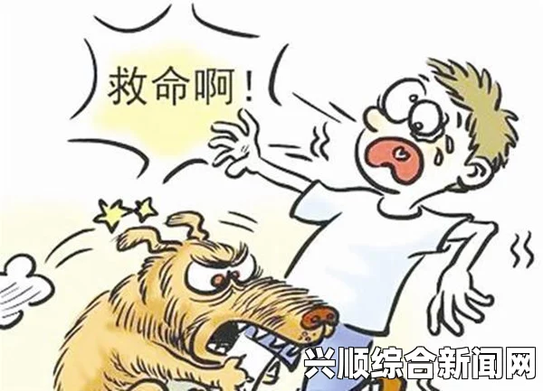 华裔女子在美遭狗咬伤 反被骂滚回你的国家，种族歧视与文化冲突的悲剧