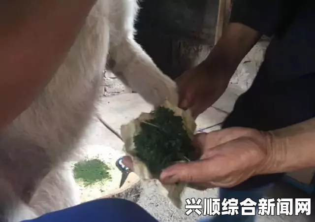 华裔女子在美遭狗咬伤 反被骂滚回你的国家，种族歧视与文化冲突的悲剧