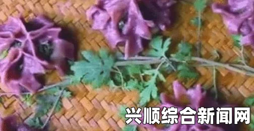 成品视频直播软件推荐哪个好用？我们深入探讨，带你体验每款的独特魅力与精彩瞬间！