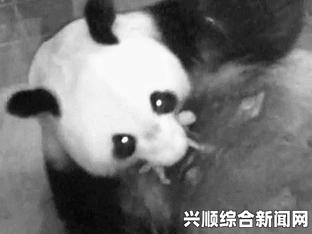 户外第一主播帝师惊艳亮相尖叫歌王评委席