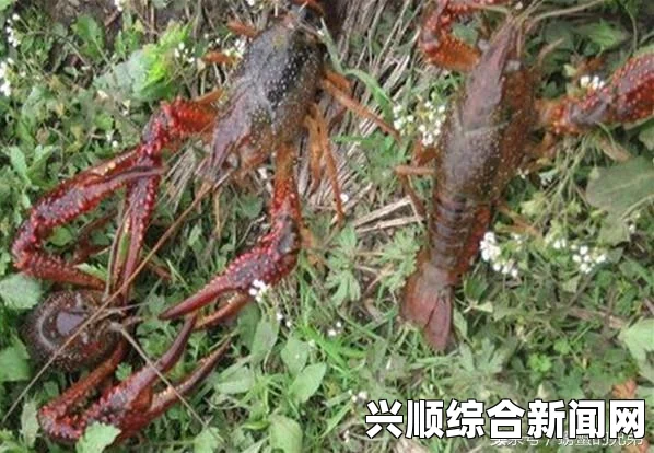 激情探索：体验亚洲精品一卡至五卡的极致魅力与评价，畅享无尽乐趣!
