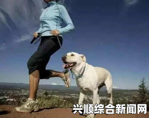 哪种狗最适合女人自己用？非常重要的一点是，狗的性格和主人的个性是否相配。比如说，有些女士可能更喜欢活泼友好的小型犬，而有些人则偏好忠诚顺从的大型犬。除此之外，女性主人们还需考虑到日常生活中能够给予宠物充足精力、时间和关怀。同时，在选择适合女性主人使用的狗时，也应该考虑到它们对家庭成员（尤其是小孩）和其他动物是否友善。