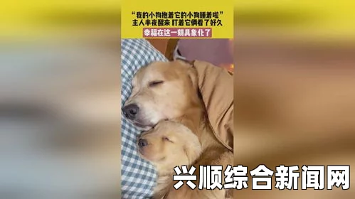 哪种狗最适合女人自己用？非常重要的一点是，狗的性格和主人的个性是否相配。比如说，有些女士可能更喜欢活泼友好的小型犬，而有些人则偏好忠诚顺从的大型犬。除此之外，女性主人们还需考虑到日常生活中能够给予宠物充足精力、时间和关怀。同时，在选择适合女性主人使用的狗时，也应该考虑到它们对家庭成员（尤其是小孩）和其他动物是否友善。