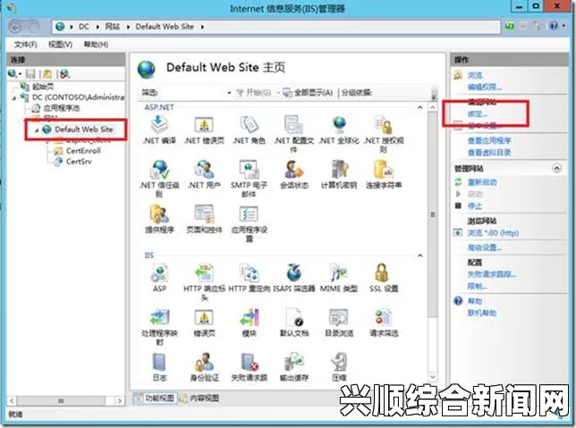 详解日本Windows Server片的特性与应用——一探其在行业中的重要地位与价值