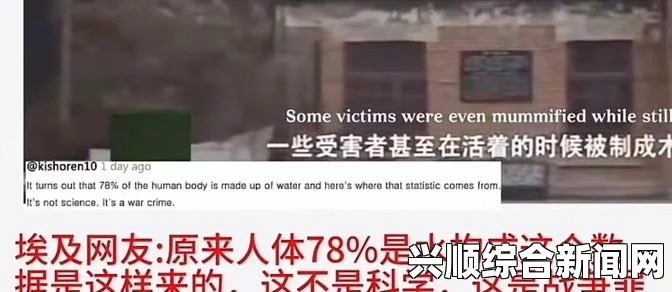 缅甸外网恐怖网站入：解析与激烈讨论