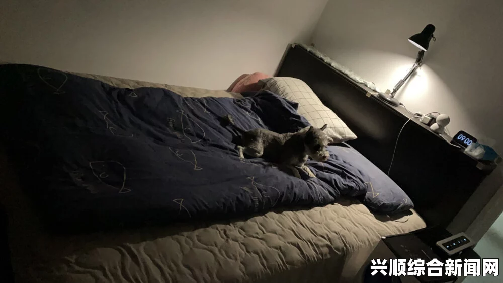 晚上熬夜，男生偷偷躲在被窝里观看b站视频的趣事揭秘
