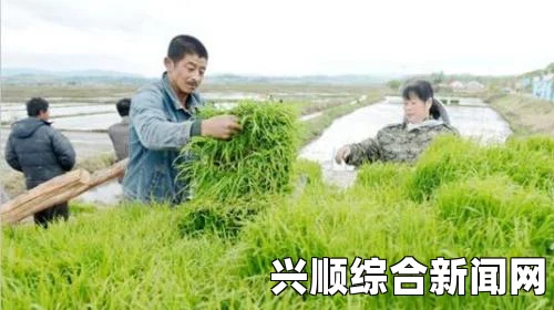儿子为母亲耕种田地的深刻寓意与家庭责任的象征