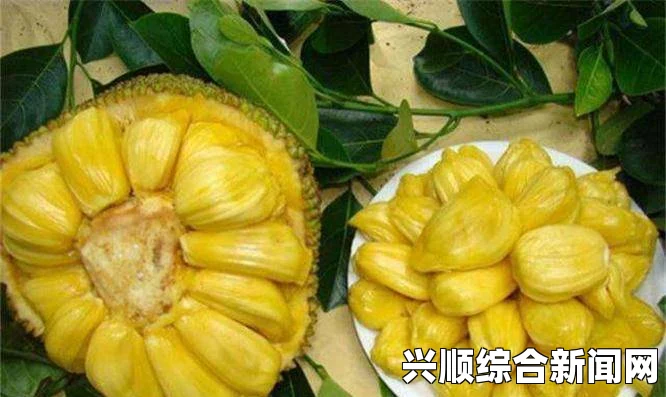 亚精产品一三三菠萝蜜调换个描写方式