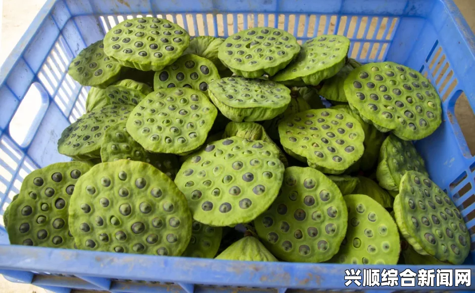 亚精产品一三三菠萝蜜调换个描写方式