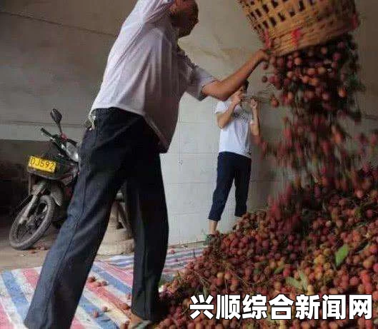 农民工工棚嫖妓jd录象：深度解析背后的社会现象与网友激烈探讨