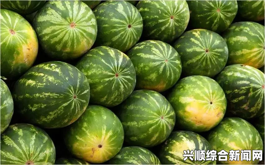 午夜刺激黄瓜西瓜葡萄榴莲漫画：性暗示还是无辜娱乐？网友探讨热议！添加动作片元素：＂午夜刺激黄瓜西瓜葡萄榴莲动作大片＂将如何突显情节深度？