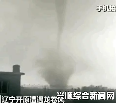 龙卷风横扫美国南部至少3死30多人伤 现场图片曝光（组图）