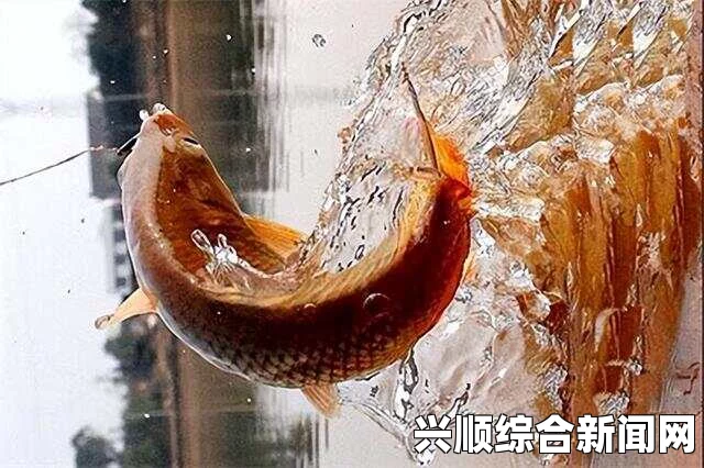女人鲤鱼喝水图解大全：深度解析与网友热议，探讨其文化意义与艺术价值