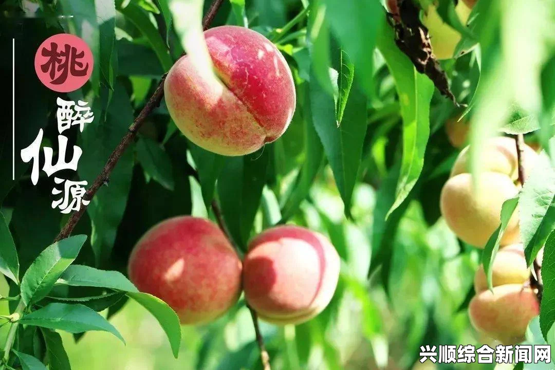 水蜜桃仙踪林：网友热议，探讨其神秘之处